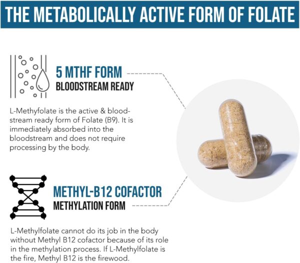 L Methyl Folate 15mg plus Methyl B12 Cofactor - Professional Strength, Active 5-MTHF Form - Supports Mood, Methylation, Cognition – Bioactive forms of Vitamin B9 & B12 (60 Capsules) - Image 4