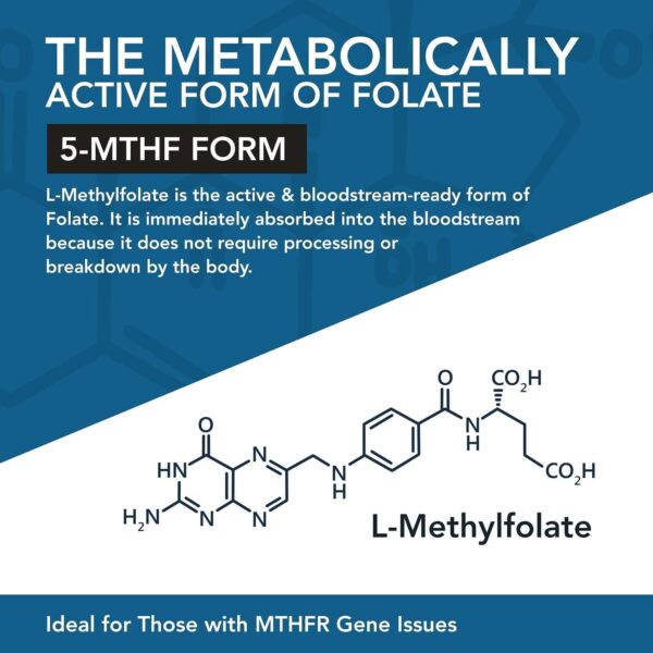 L Methyl Folate 15mg plus Methyl B12 Cofactor - Professional Strength, Active 5-MTHF Form - Supports Mood, Methylation, Cognition – Bioactive forms of Vitamin B9 & B12 (60 Capsules) - Image 7